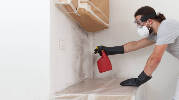 Professional Commercial Mold Remediation technician working in Clinton, WA