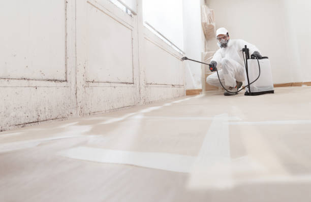 24/7 Emergency Commercial Mold Remediation experts in Clinton, WA