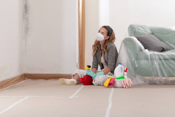 Reliable Mold Cleanup contractor in Clinton, WA by Cheap Mold Removal